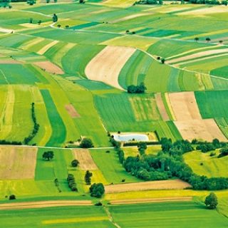 Dünyanın en verimli tarım arazileri nerede?